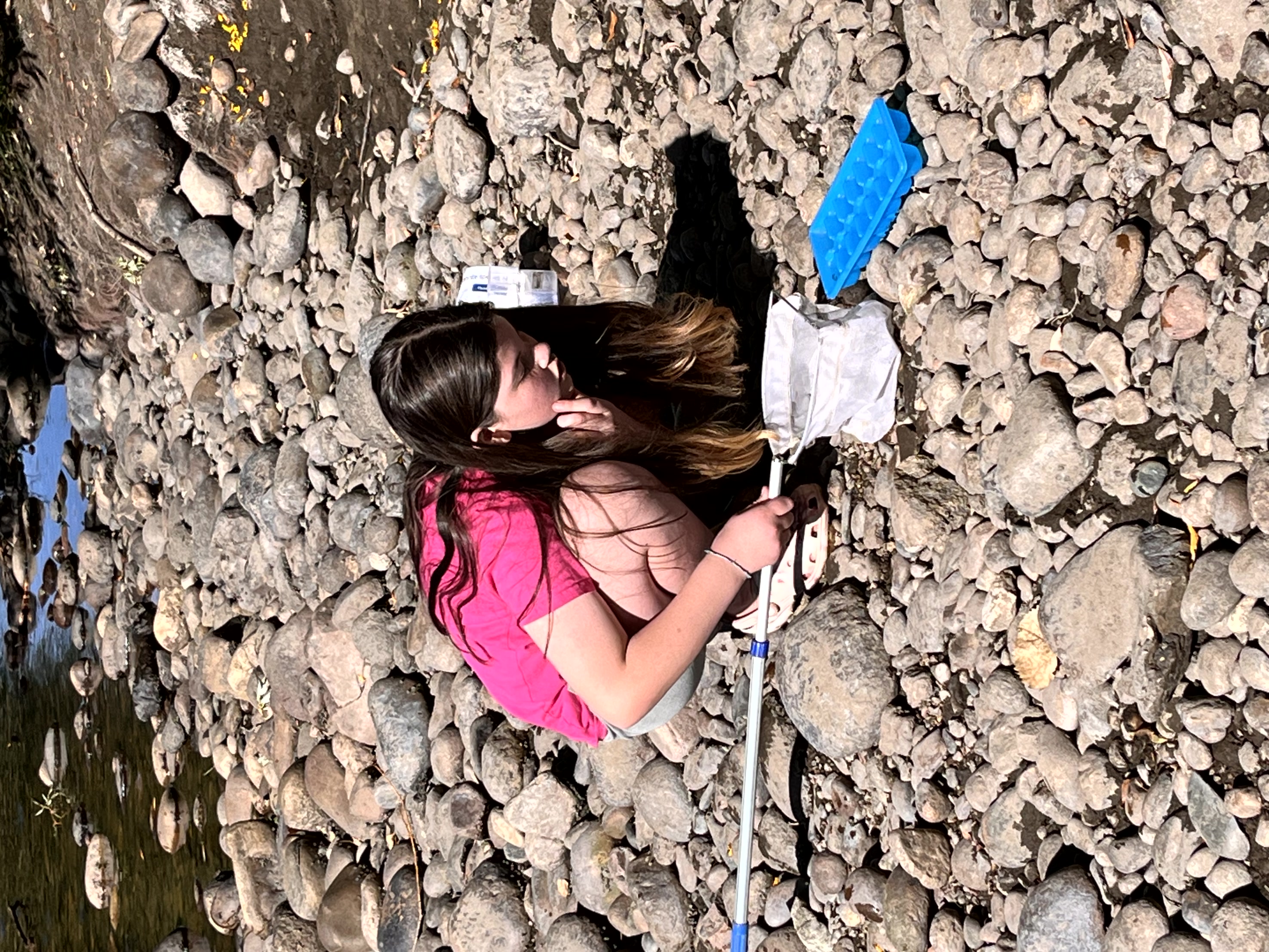 Student checking samples of water