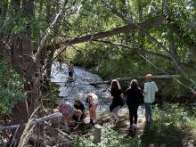 River Week 2025