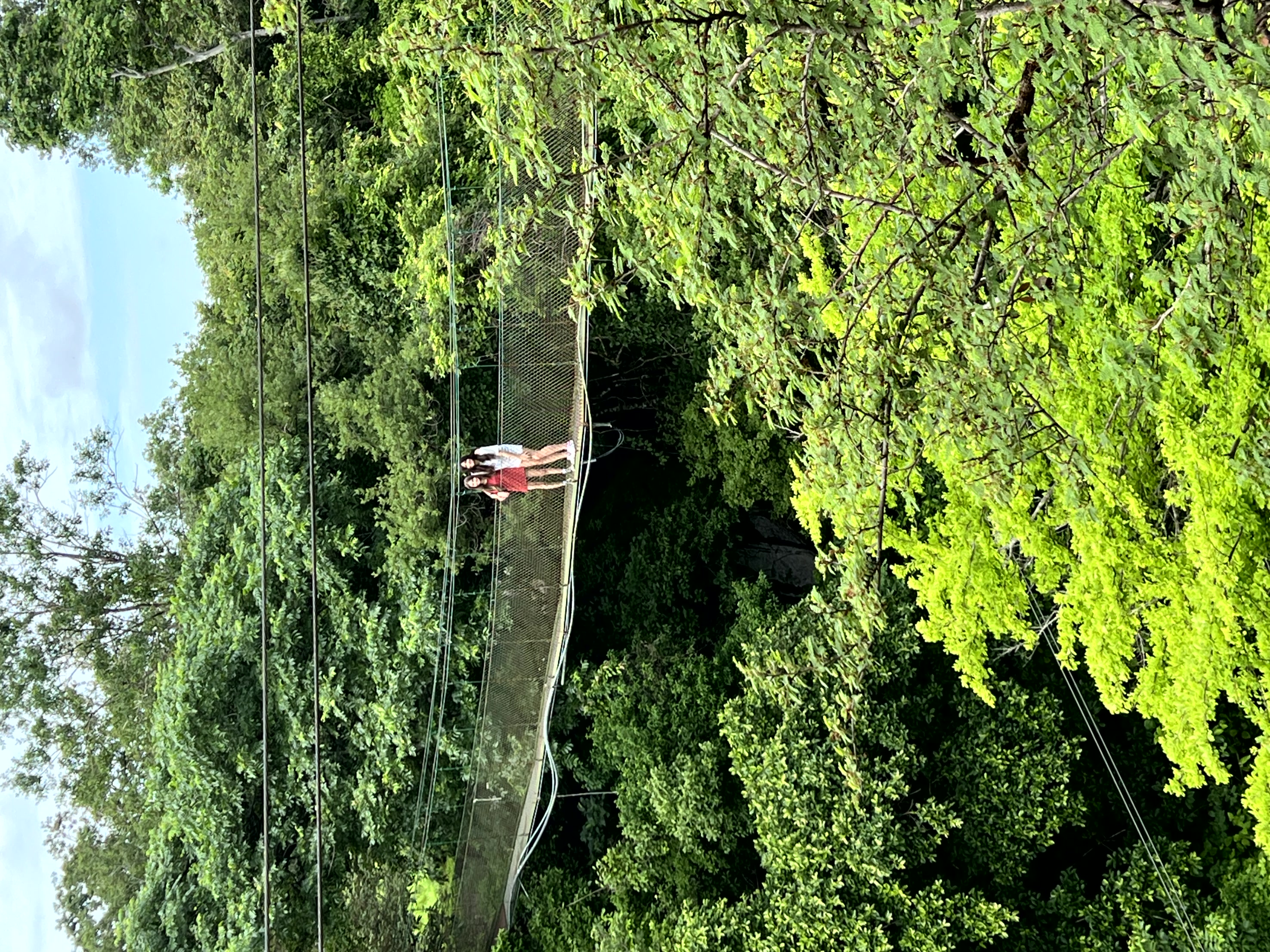 High Rope Bridge in Costa Rica Image